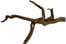 Branch Drift Wood Natural Aquascape - 50x27x8