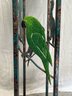 Exotic Metal Textured Frame Bird Lamp- 7x7x64