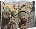 Desert Images, Photos By David Muench And Text By Edward Abbey, 17x10.5in.