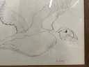 Original, Framed Bird Pen Drawing, Signed By Karen Swartsberg - 31x1x25