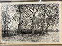 Early Spring  Artwork By William T. L 1979, Framed - 25.5x1.5x20