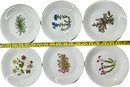 Porsgrund Norway Mountain Flower Series 12 Dessert Plates & 12 Saucers, Porsgrund Norway Tea Cups (13), & More