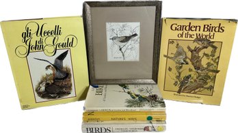 Red-eyed Vireo Signed Artwork, Garden Birds Of The World, Lamberts Birds Of Garden And Woodland And More