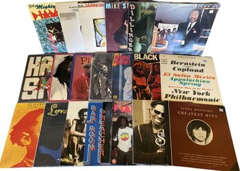 Vintage Large Collection Of Vinyl Records Including The Mediations, Rastafari, Hard Skin And More!