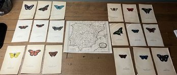 Eighteen Numbered Hand Colored Prints Of Butterflies & Map.