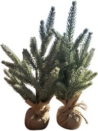 Set Of Two - Mini Christmas Trees, 10'H