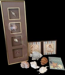 Shells Collectibles - Framed, Loose Shells. Fish And 'Relax' Book