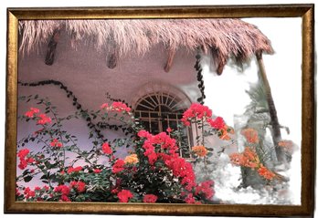 Framed Tropical Canvas Print 24x35