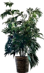 6ft Tall Artificial House Plant