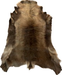 Unidentified Animal Pelt Lined With Leather- 42x57