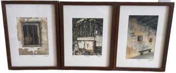 Premium 3 Photo In Wooden Frame, Clay Pot, The Wagon And Green Bench Design - 13x17x1.5