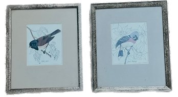 Original And Signed Bird Paintings, Framed And Matted