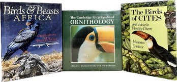 The Cambridge Encyclopedia Of Ornithology, The Birds Of Cites And How To Identify Them, Birds & Beasts-africa
