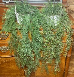 Pair Of Artificial Hanging Plants