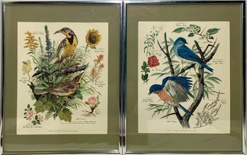 Arthur Singer Naturalist Birds And Plants Wall Art