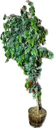 Green Artificial Tree, 82in H