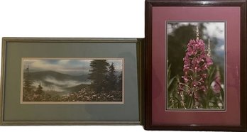 Pair Of Framed & Floral Artwork, Both Signed By Artists.