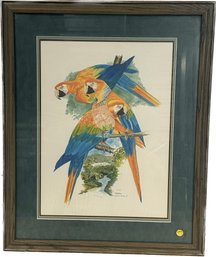 Framed Bird Print By Scott Rashid, Signed, 27x22