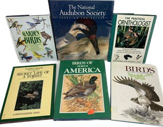 Secret Life Of A Forest, The Practical Ornithologist, Garden Birds, And More Birds