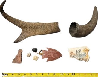 Southwestern Horns And Rock Collection