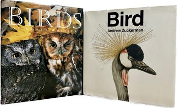Bird By Andrew Zuckerman, Birds Of North America By Noel Grove