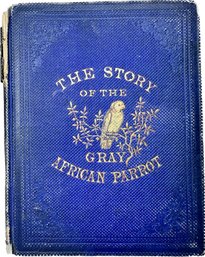 The Story Of The Gray African Parrot By Harry Gringo 1860