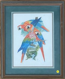 Original, Signed And Numbered Parrot Painting By Scott Rashid, 9/200