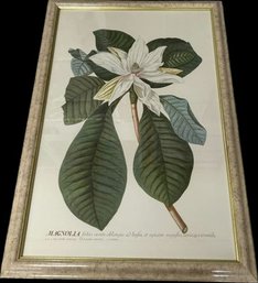Framed Magnolia Print- 16.5x23