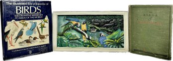 3D Tropical Battery Operated Wall Hanging, Untested, 1923 Printing Of The Birds Of California And More