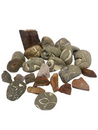 Collection Of Unique Rocks And Fossils (20 Rocks)