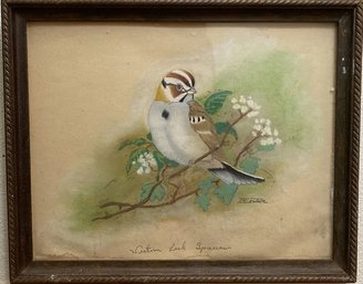 Framed Pastel Artwork Of Western Lark Sparrow Signed By Artist IH Lentner- 13x10.5
