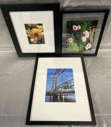 Framed Hanging Picture Set (3)