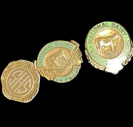 14 Karat Gold, Lapel Pins, National Dairy Safe Worker, Pin With Initials 'SHS' 7.28 G.