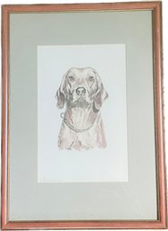 Original Signed Painting By Dorothy Brodhead, Dog, 21 X 15'