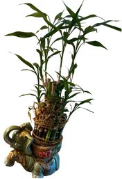 Elephant Glass Vase With Bamboo Plant, 26'