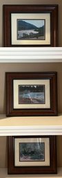 3 Pieces Framed Nature Photos, 11x13'