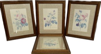 Framed Floral Prints: Rose Anemone Et Clematit, Rose Bengale LHymene, Rosier Aux Cent Feuilles, Continued-