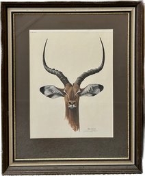 Framed Impala Print Signed By Ray Harm