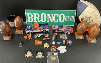 Denver Bronco Themed Lot