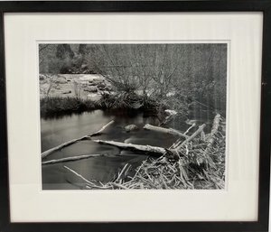 Framed Woods In A Creek Art Work By Llyod's Art Center 25.5Lx21.5W