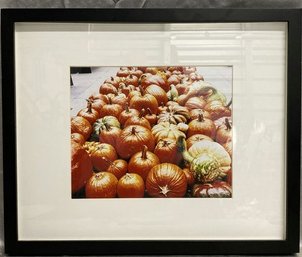 Framed Fall Photography (Photographer Unknown)-17x14