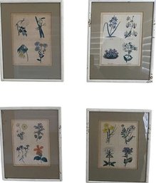 Group Of Four Flower Pictures (8'x10.5')