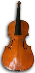 Violin - No Case, 8' Width