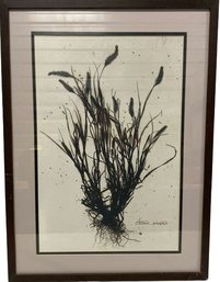 Setaria Vividis Framed Floral Print (17x23)