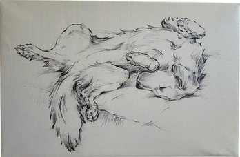 Comfy Golden Retriever Sketch, Print On Canvas (40x26)