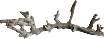 Driftwood 38 Long