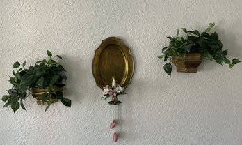 (Three) Gold Candle Plant Set