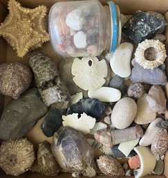 Box Of Rocks And Seashells
