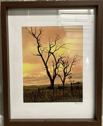 Framed Nature/Sunset Photography Signed By Photographer SBV, 2013-12x15