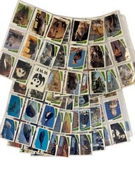 Wild Life In Danger Animal Trading Cards By WWF (100 Cards)